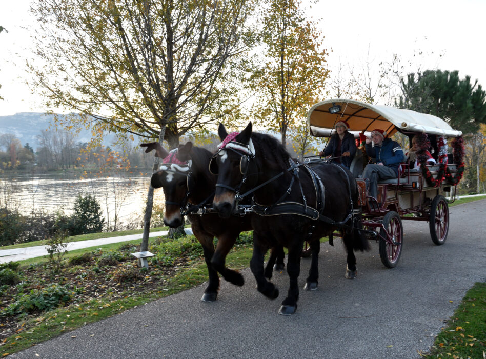 tournée en callèchepeére noël 27.11 (53)